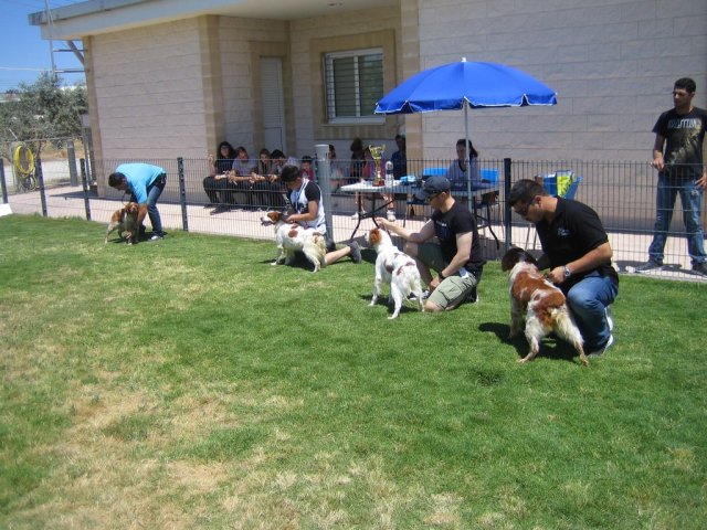 15th national breed show